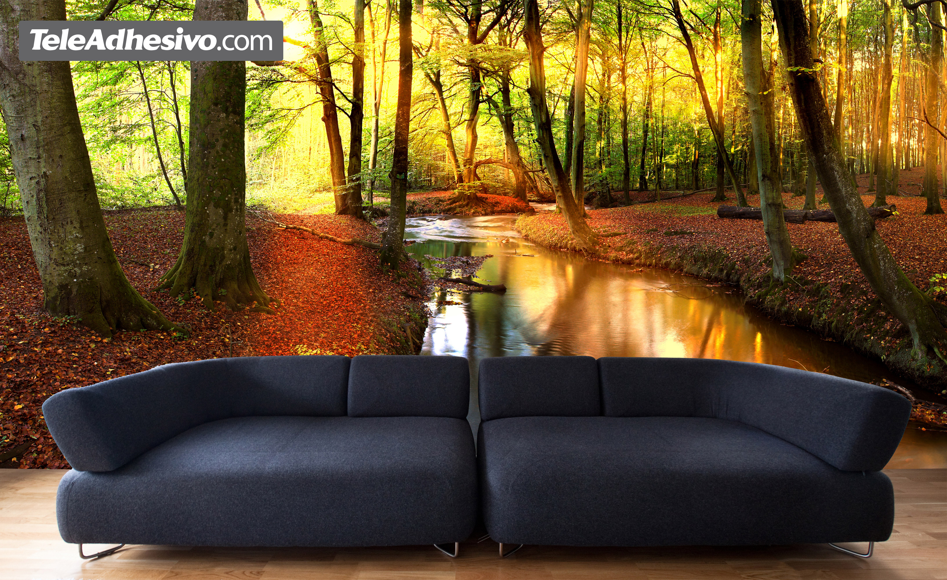 Wall Murals: River in the Aywaille forest