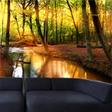 Wall Murals: River in the Aywaille forest 5