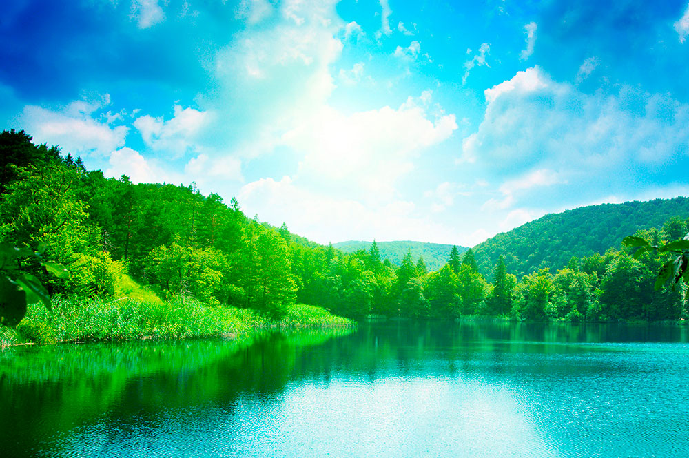 Wall Murals: Lake in the mountains