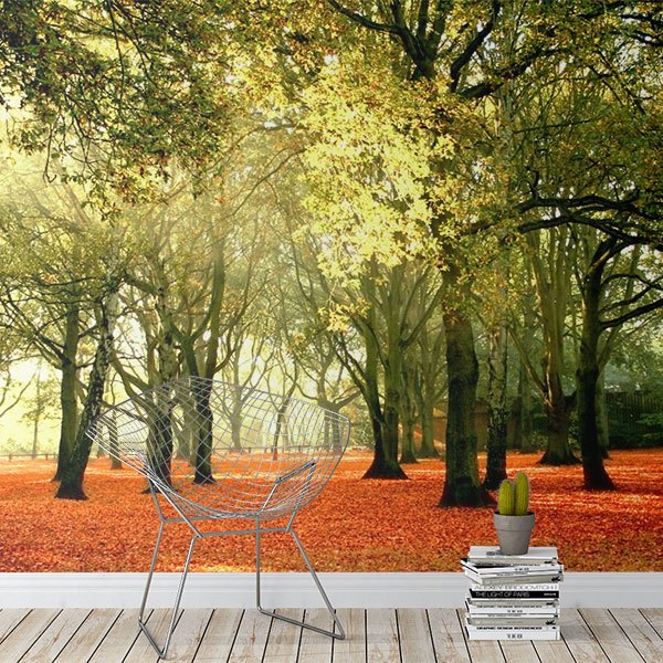 Wall Murals: Forest at sunset