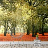 Wall Murals: Forest at sunset 2