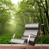 Wall Murals: Green Forest 3