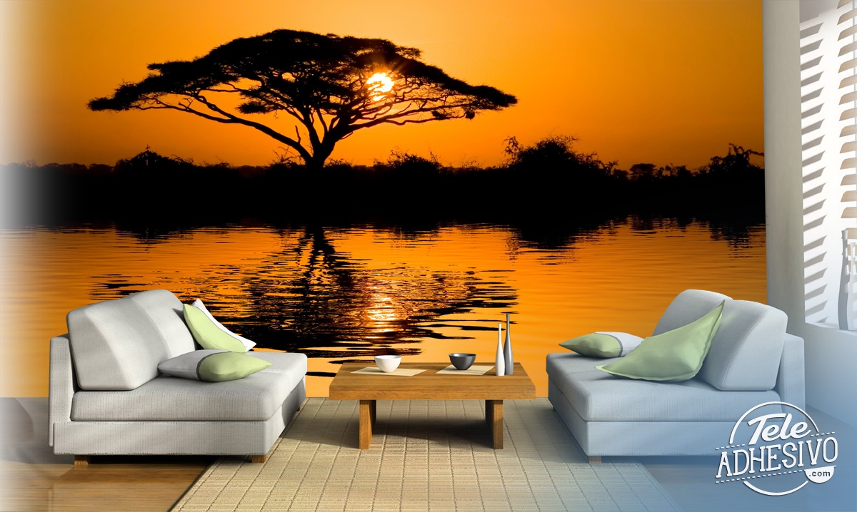 Wall Murals: African acacia