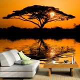 Wall Murals: African acacia 3