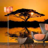 Wall Murals: African acacia 4