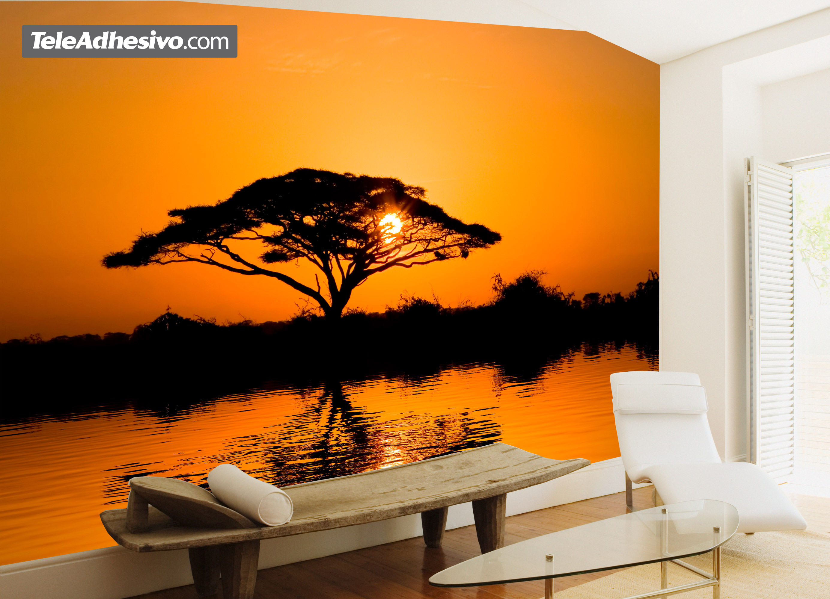 Wall Murals: African acacia