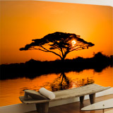 Wall Murals: African acacia 5