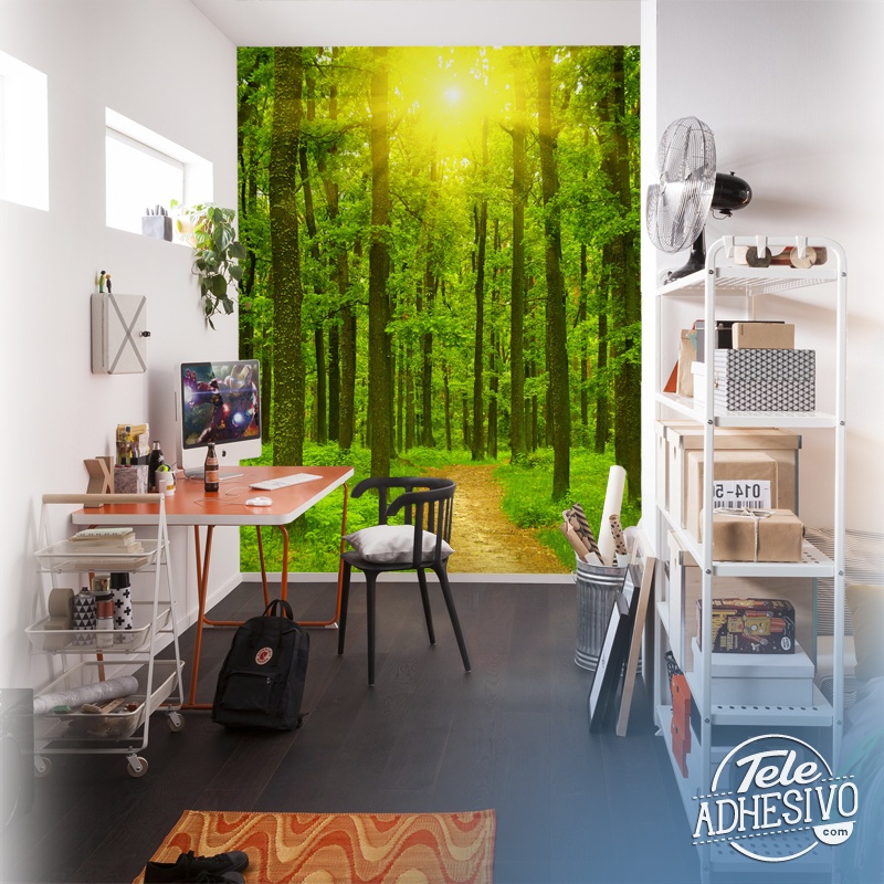 Wall Murals: Sunset in the forest