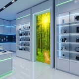 Wall Murals: Sunset in the forest 18