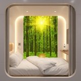 Wall Murals: Sunset in the forest 19