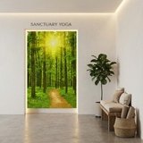 Wall Murals: Sunset in the forest 21