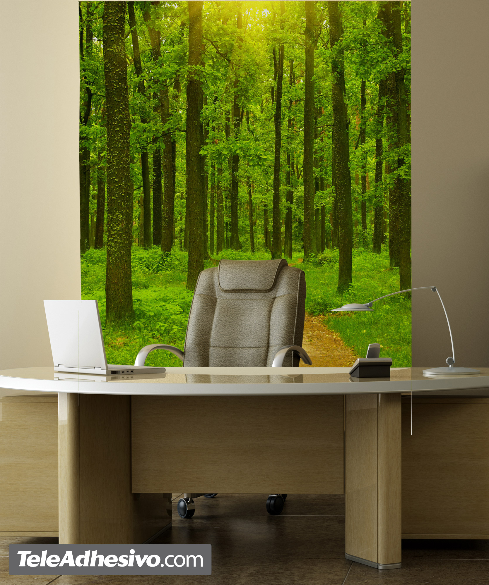 Wall Murals: Sunset in the forest