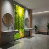 Wall Murals: Sunset in the forest 6