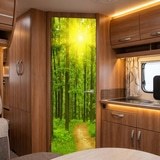 Wall Murals: Sunset in the forest 7