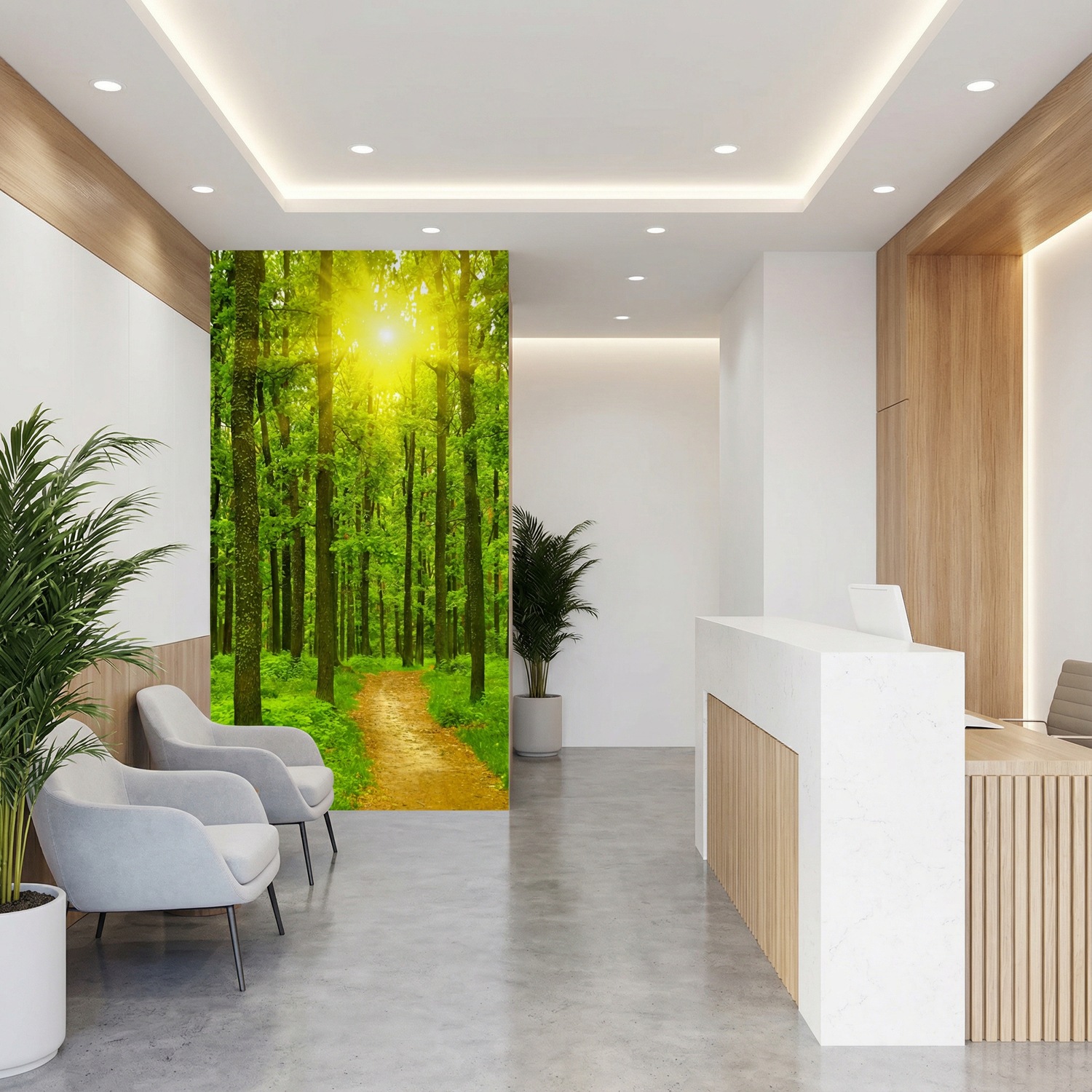 Wall Murals: Sunset in the forest