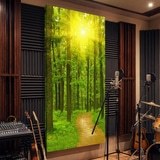 Wall Murals: Sunset in the forest 9