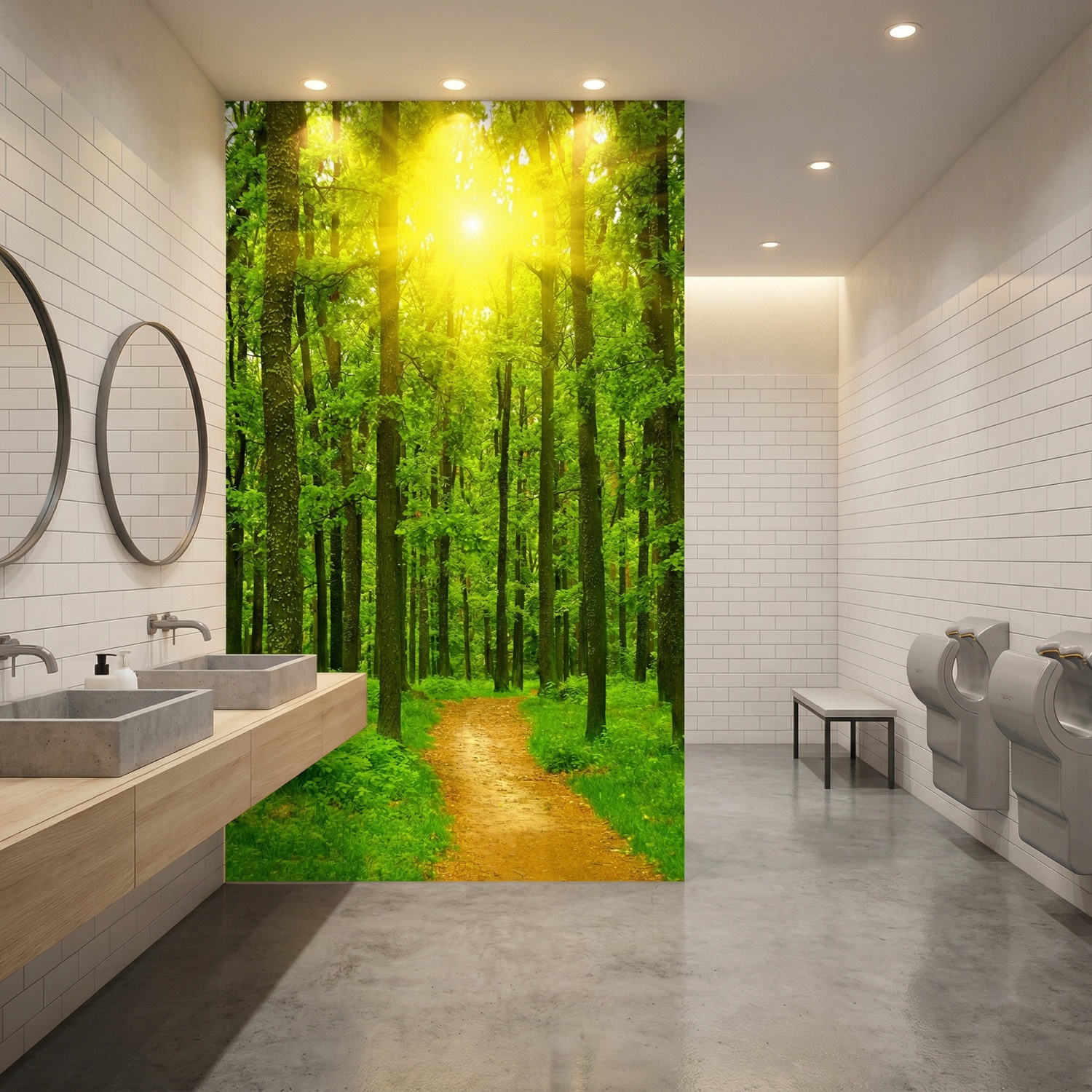 Wall Murals: Sunset in the forest
