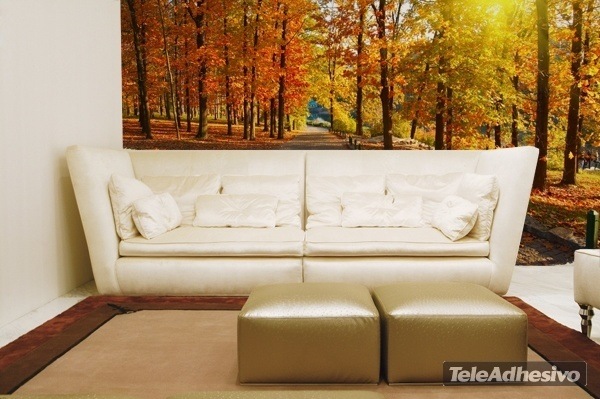 Wall Murals: I walk through the autumnal park