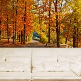 Wall Murals: I walk through the autumnal park 2