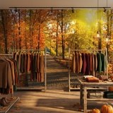 Wall Murals: I walk through the autumnal park 11