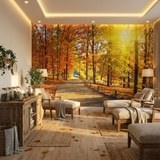 Wall Murals: I walk through the autumnal park 12