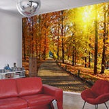 Wall Murals: I walk through the autumnal park 3