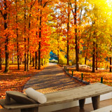 Wall Murals: I walk through the autumnal park 4