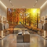 Wall Murals: I walk through the autumnal park 6