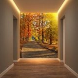 Wall Murals: I walk through the autumnal park 7