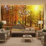 Wall Murals: I walk through the autumnal park 8