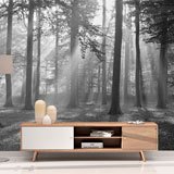 Wall Murals: Forest in black and white 2