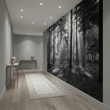 Wall Murals: Forest in black and white 11