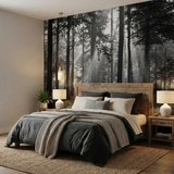 Wall Murals: Forest in black and white 12