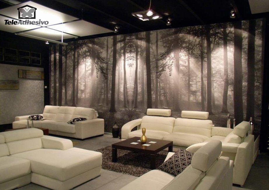 Wall Murals: Forest in black and white