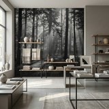 Wall Murals: Forest in black and white 5