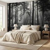 Wall Murals: Forest in black and white 8