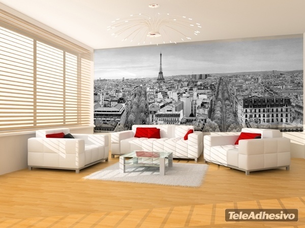 Wall Murals: Panoramic of Paris in black and white