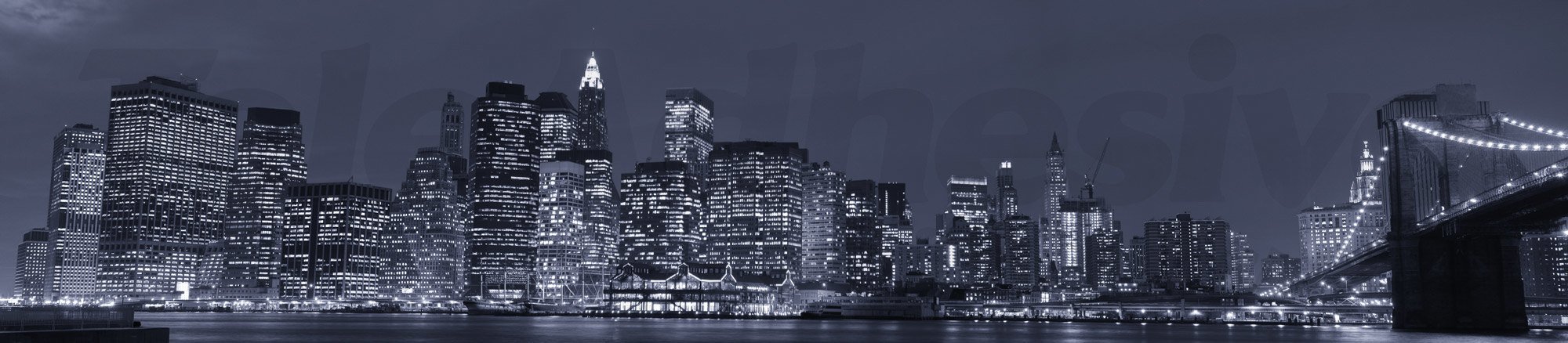 Wall Murals: Panoramic of Manhattan at night