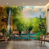 Wall Murals: Waterfall in the forest 12