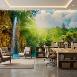 Wall Murals: Waterfall in the forest 5