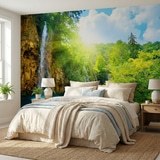 Wall Murals: Waterfall in the forest 6