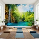 Wall Murals: Waterfall in the forest 10