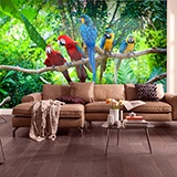 Wall Murals: Five parrots 2