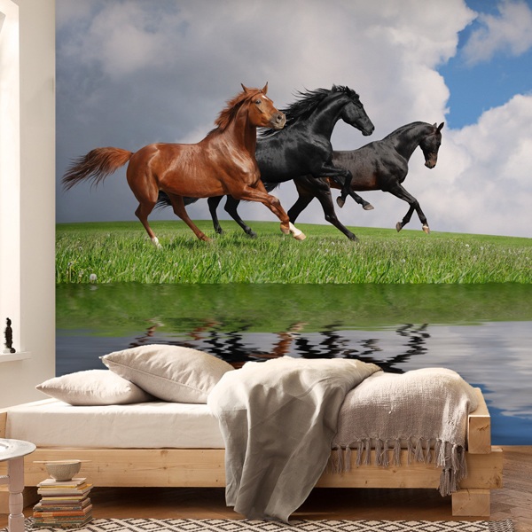 Wall Murals: Wild horses 0