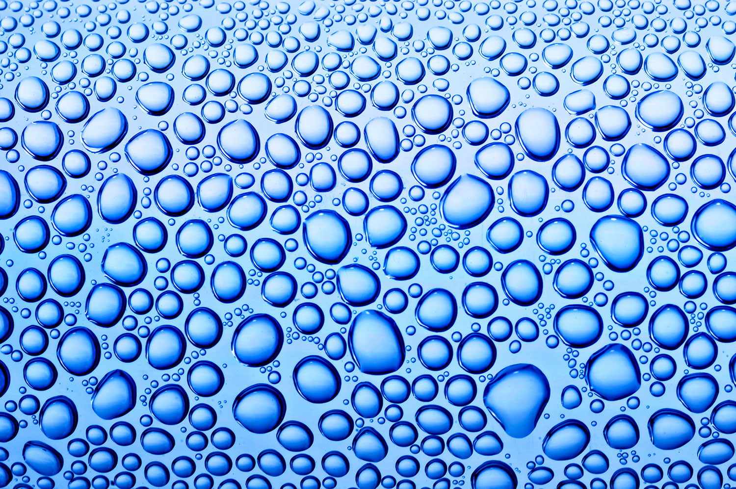 Wall Murals: Bubbles