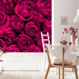 Wall Murals: Together Rose 2