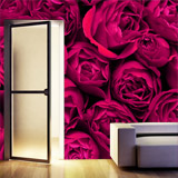 Wall Murals: Together Rose 4