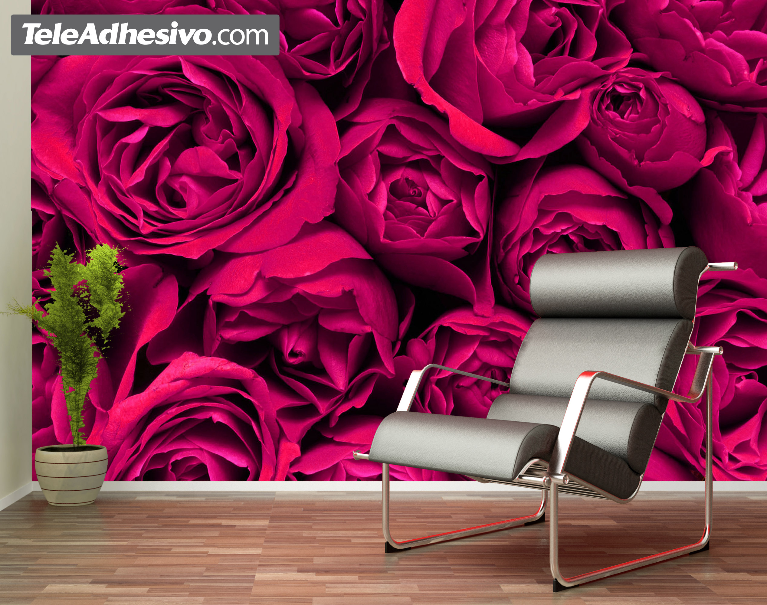 Wall Murals: Together Rose