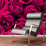 Wall Murals: Together Rose 5