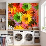 Wall Murals: Pop Flowers 20